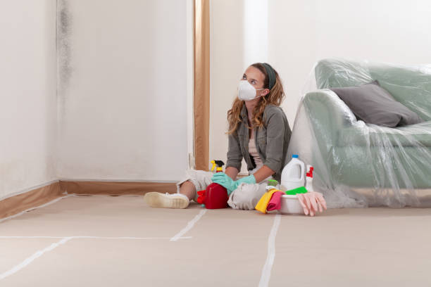 Reliable Mold Remediation contractor in Eagle, MI by Cheap Mold Removal